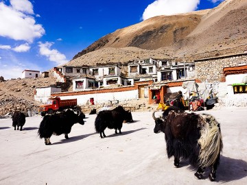 Tibet Tour via Everest day camp